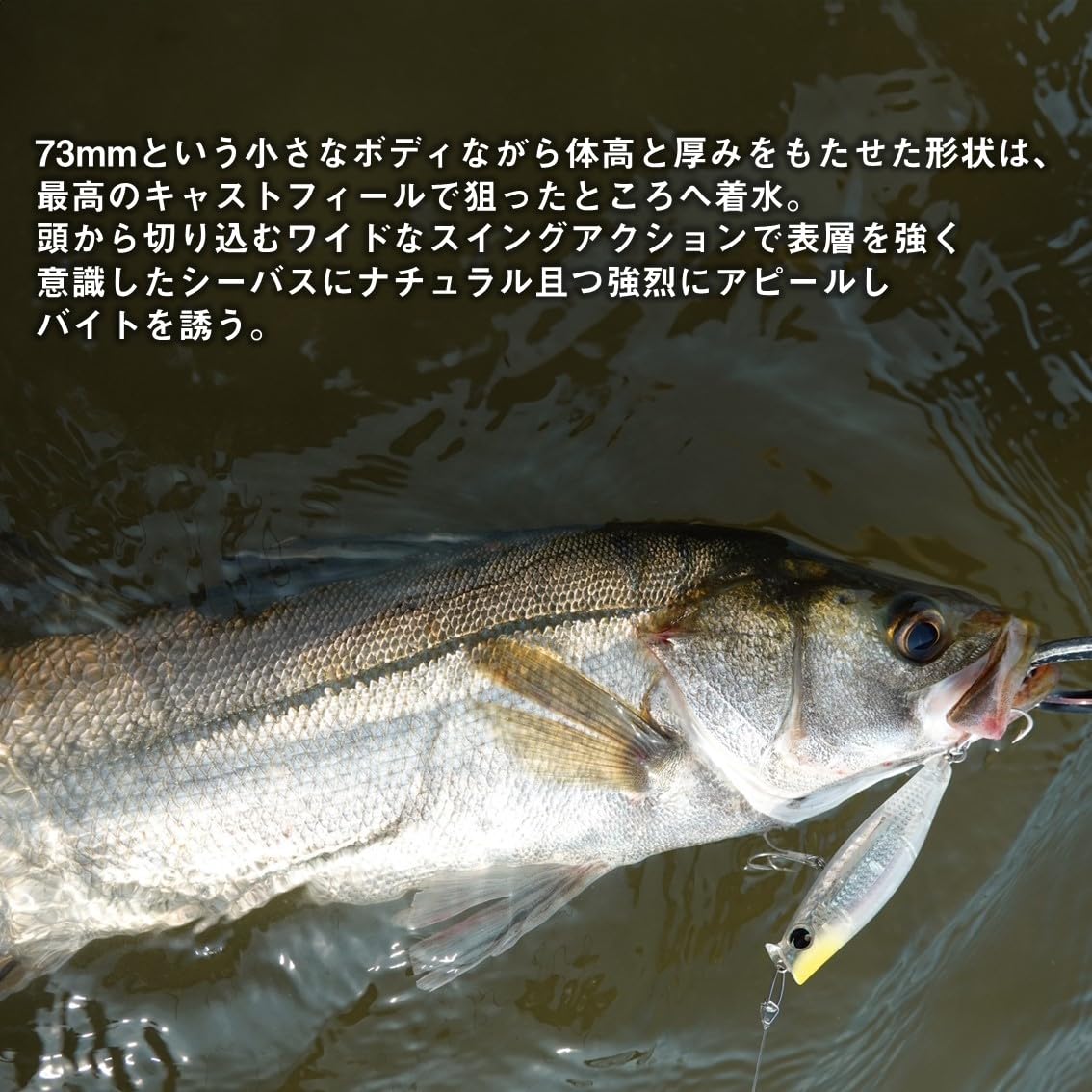 まさゃん。　DAIWA ダイワ BLAST ブラス AR70S ダイワ(Daiwa) BLAST(ブラスト) AR70S 01474754｜アウトドア用品・釣り